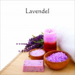 Lavendel